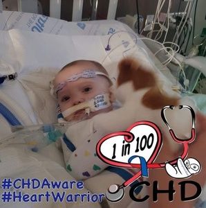 Meet your Posher, Chad